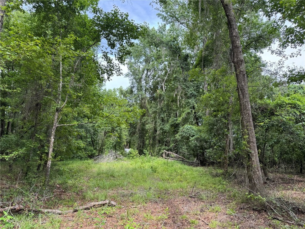 TBD NW 67th Boulevard Alachua FL 32615 GC531600 image27