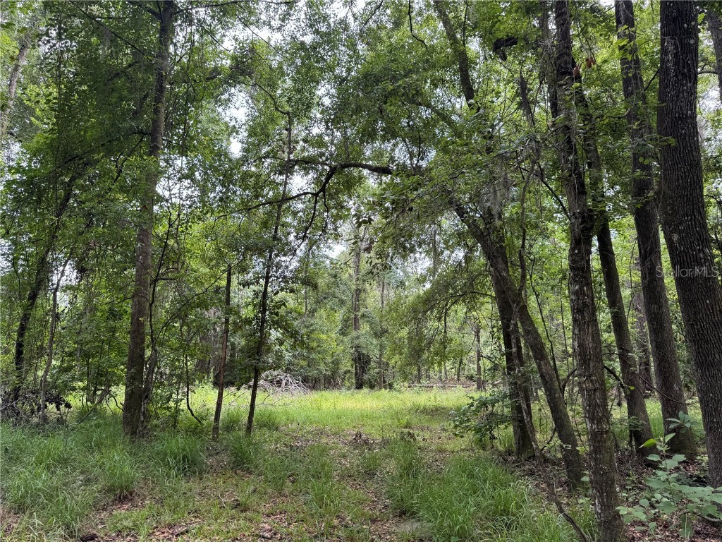 TBD NW 67th Boulevard Alachua FL 32615 GC531600 image28
