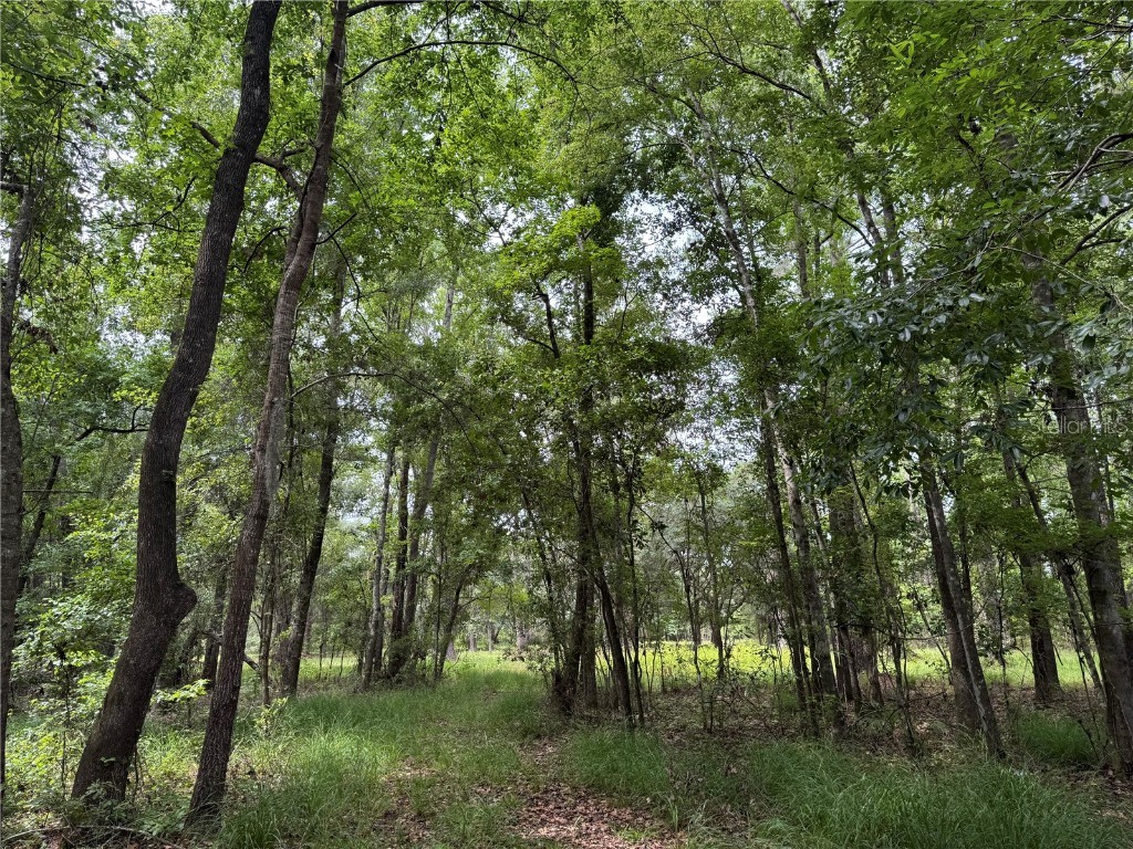 TBD NW 67th Boulevard Alachua FL 32615 GC531600 image29
