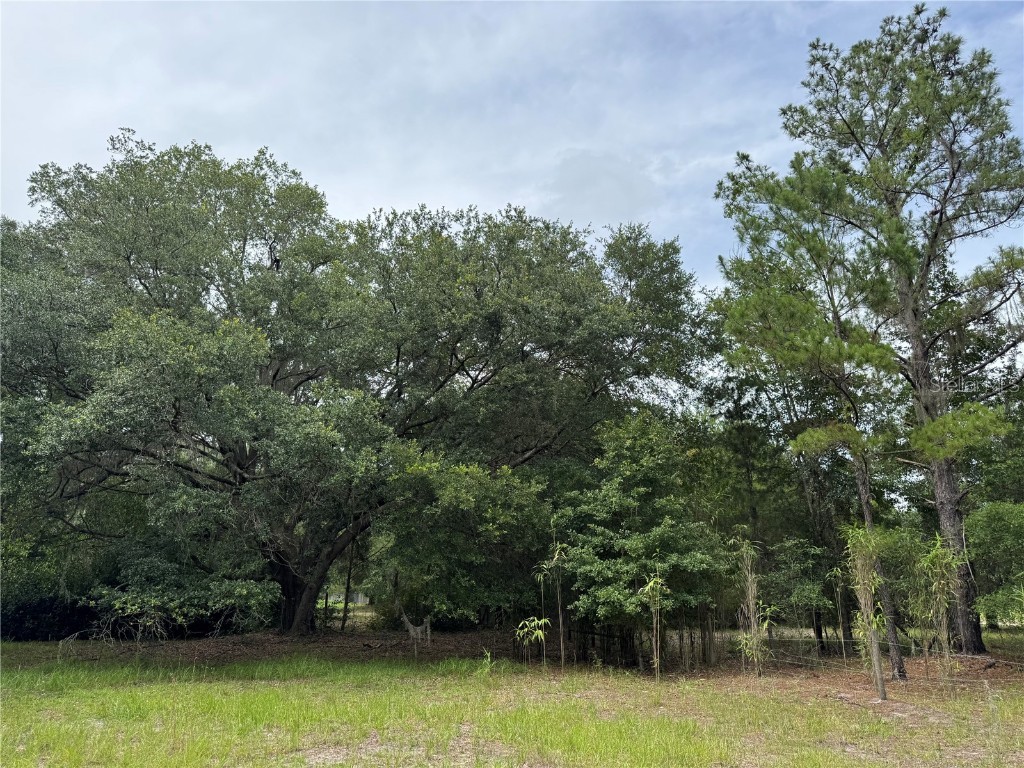 TBD NW 67th Boulevard Alachua FL 32615 GC531600 image3