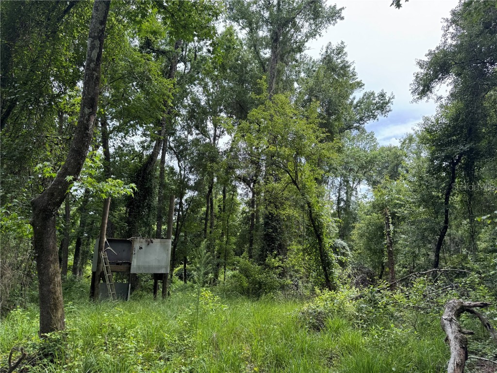 TBD NW 67th Boulevard Alachua FL 32615 GC531600 image30