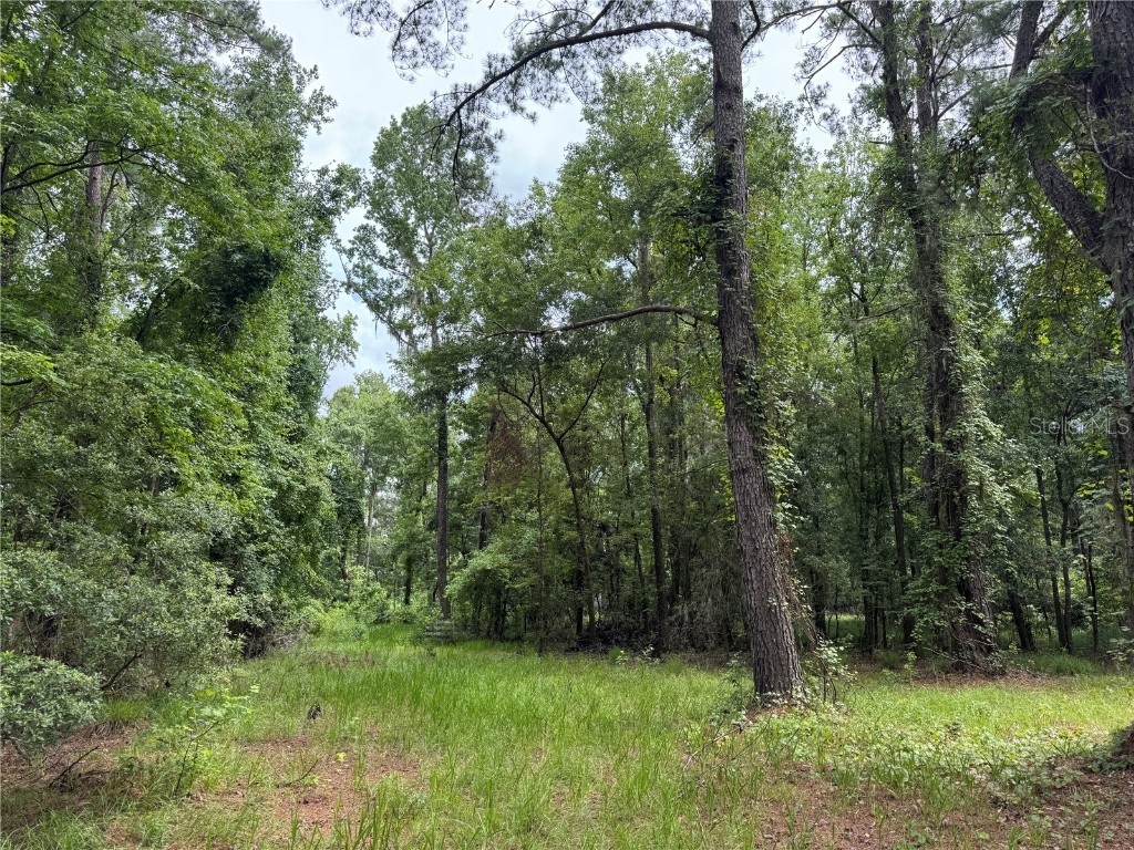 TBD NW 67th Boulevard Alachua FL 32615 GC531600 image31