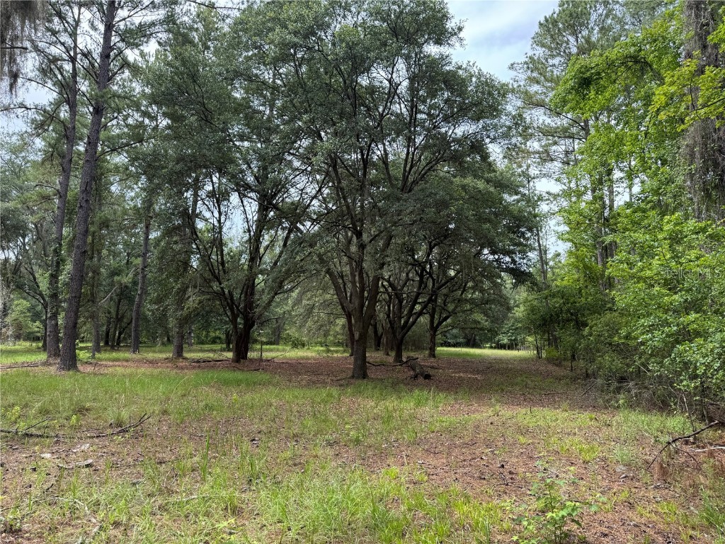 TBD NW 67th Boulevard Alachua FL 32615 GC531600 image32