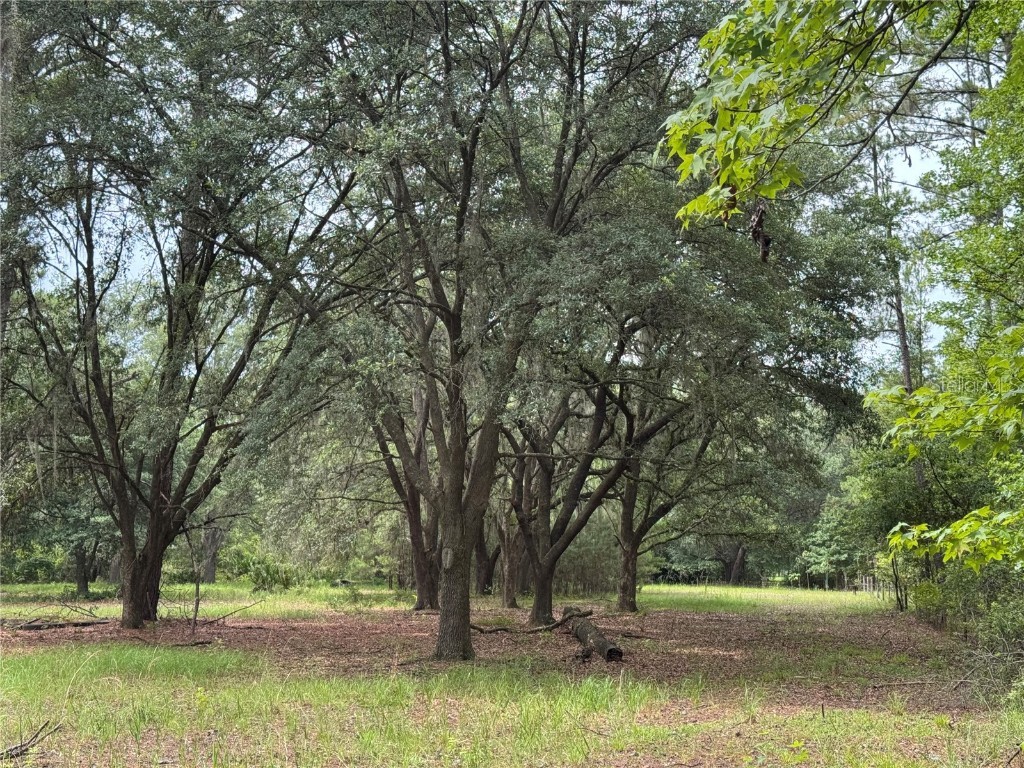 TBD NW 67th Boulevard Alachua FL 32615 GC531600 image35
