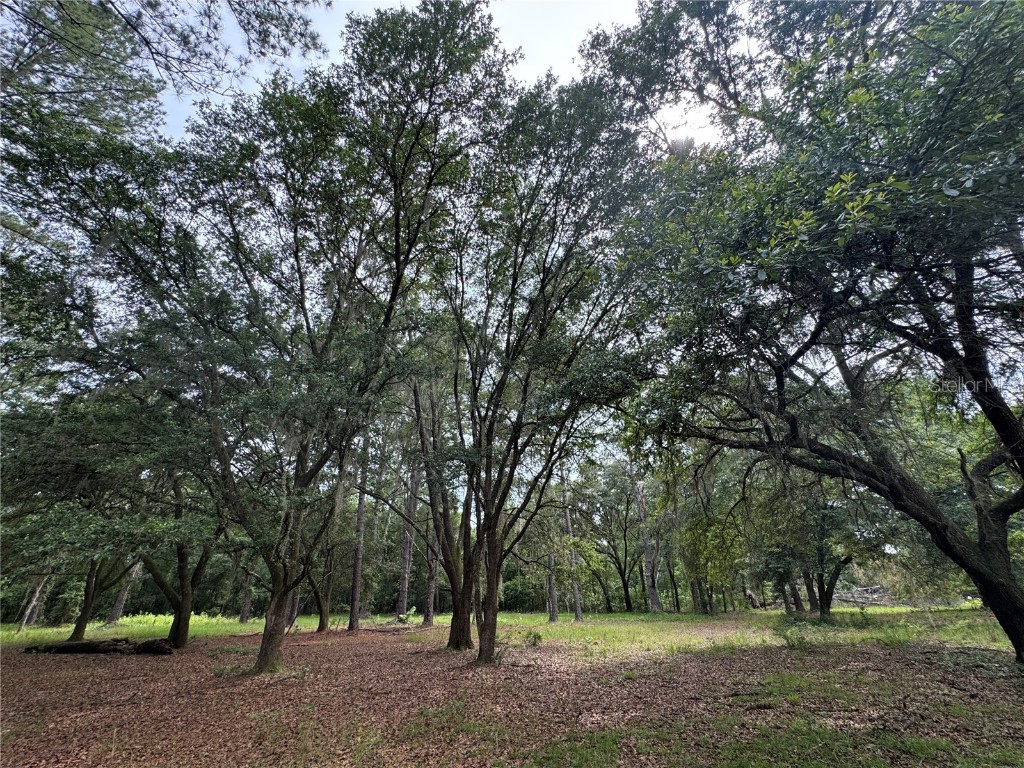 TBD NW 67th Boulevard Alachua FL 32615 GC531600 image4