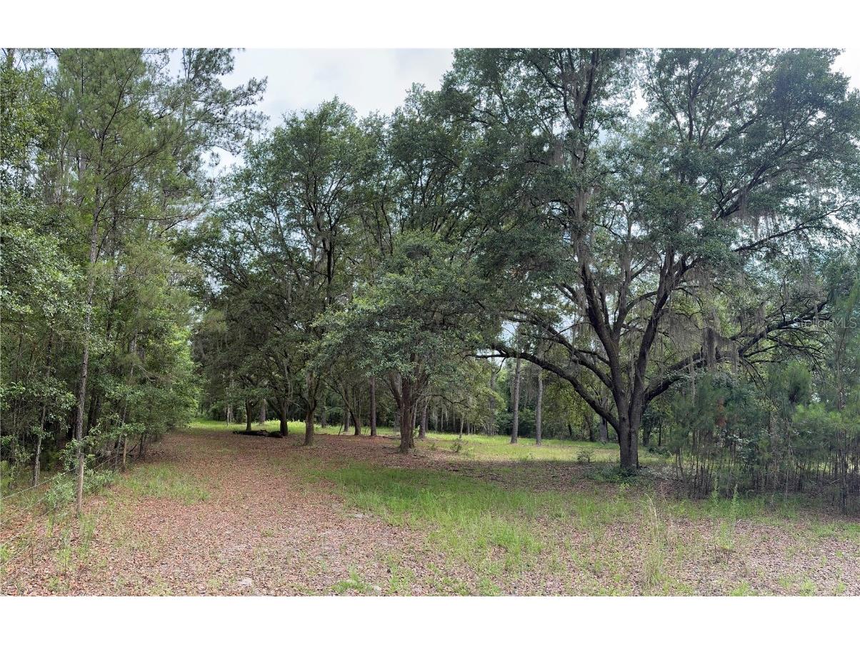 TBD NW 67th Boulevard Alachua FL 32615 GC531600 image5