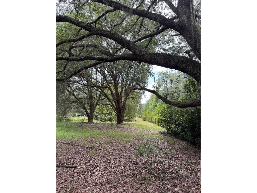 TBD NW 67th Boulevard Alachua FL 32615 GC531600 image8