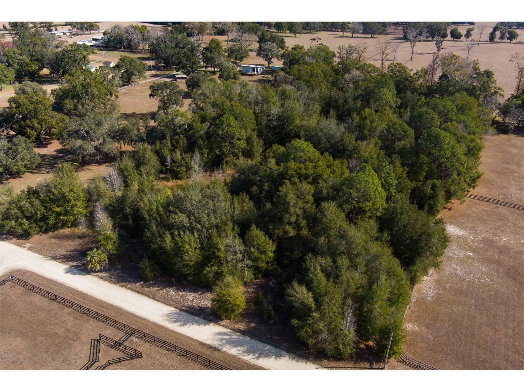TBD NW 68th Avenue Ocala FL 34482 OM717113 image6