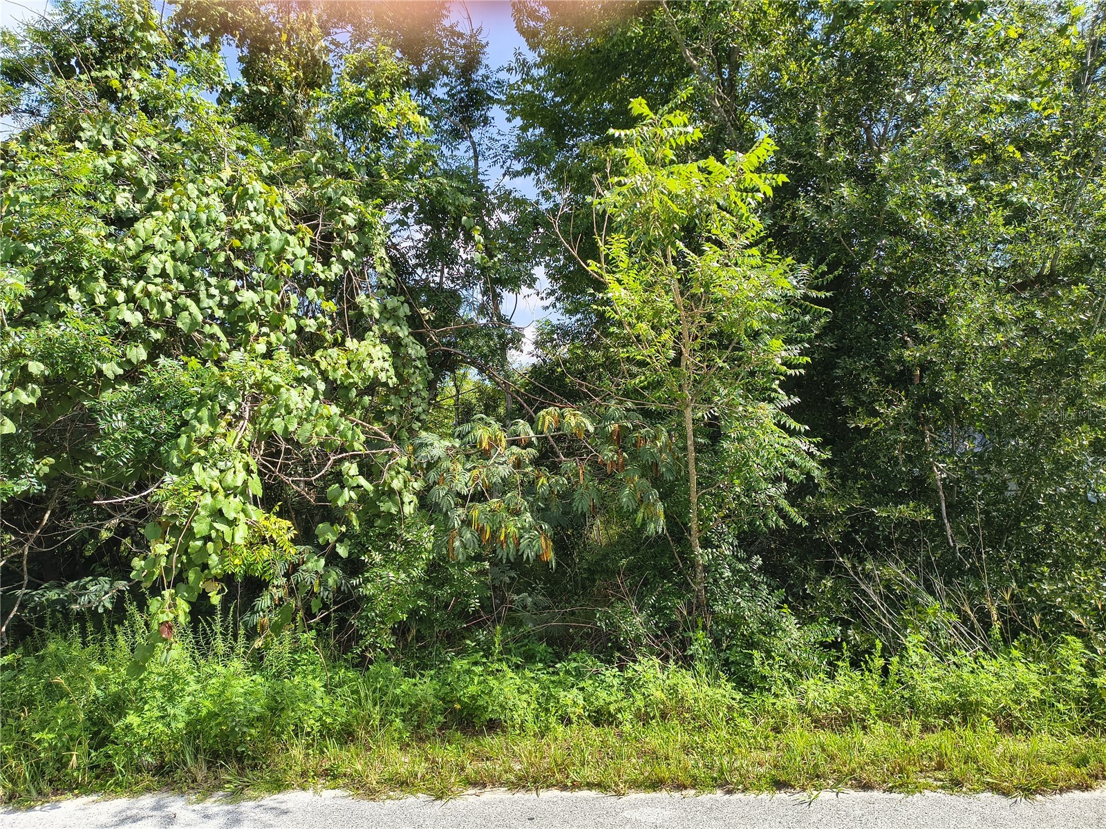 TBD NW 6th Place Ocala FL 34482 OM728963 image6