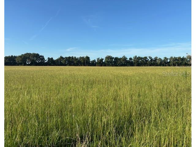 TBD NW 70 Street Chiefland FL 32626 GC532138 image1