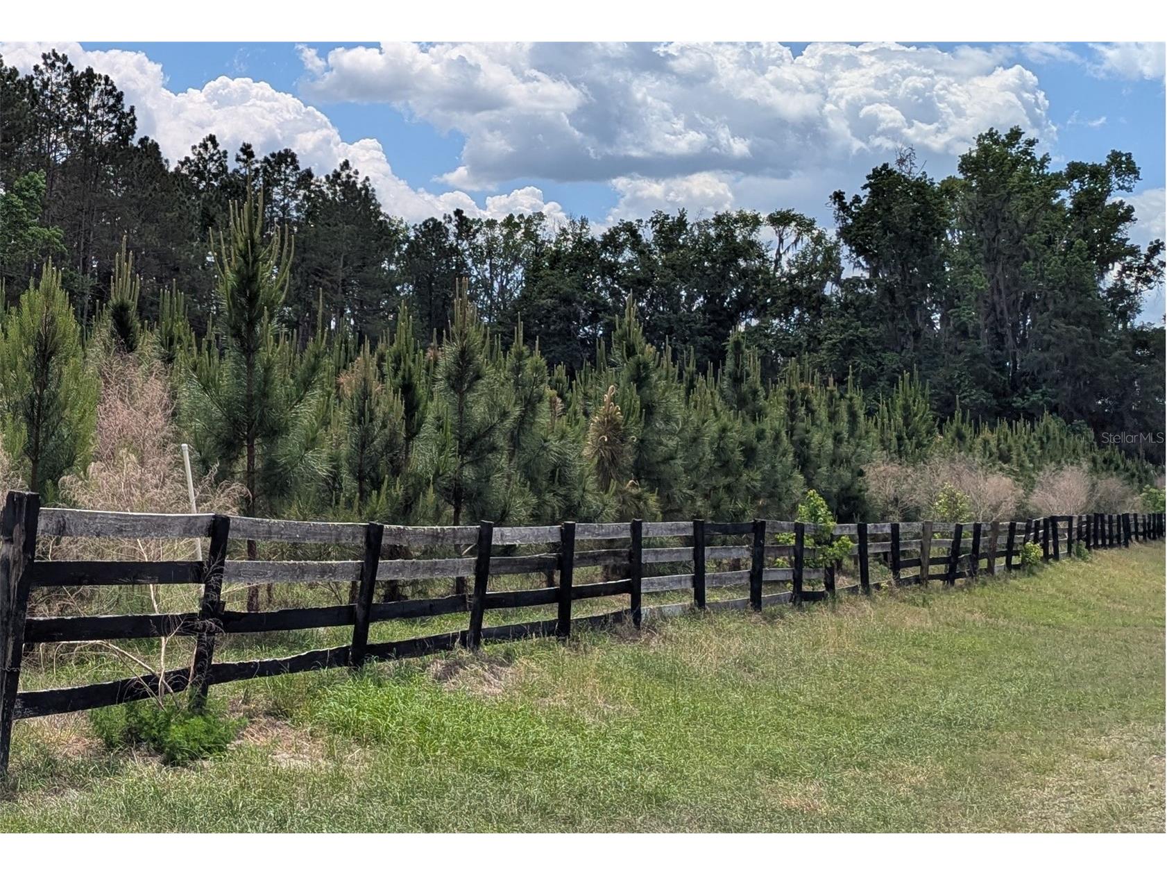 TBD NW 71st Terrace Gainesville FL 32653 GC539736 image4