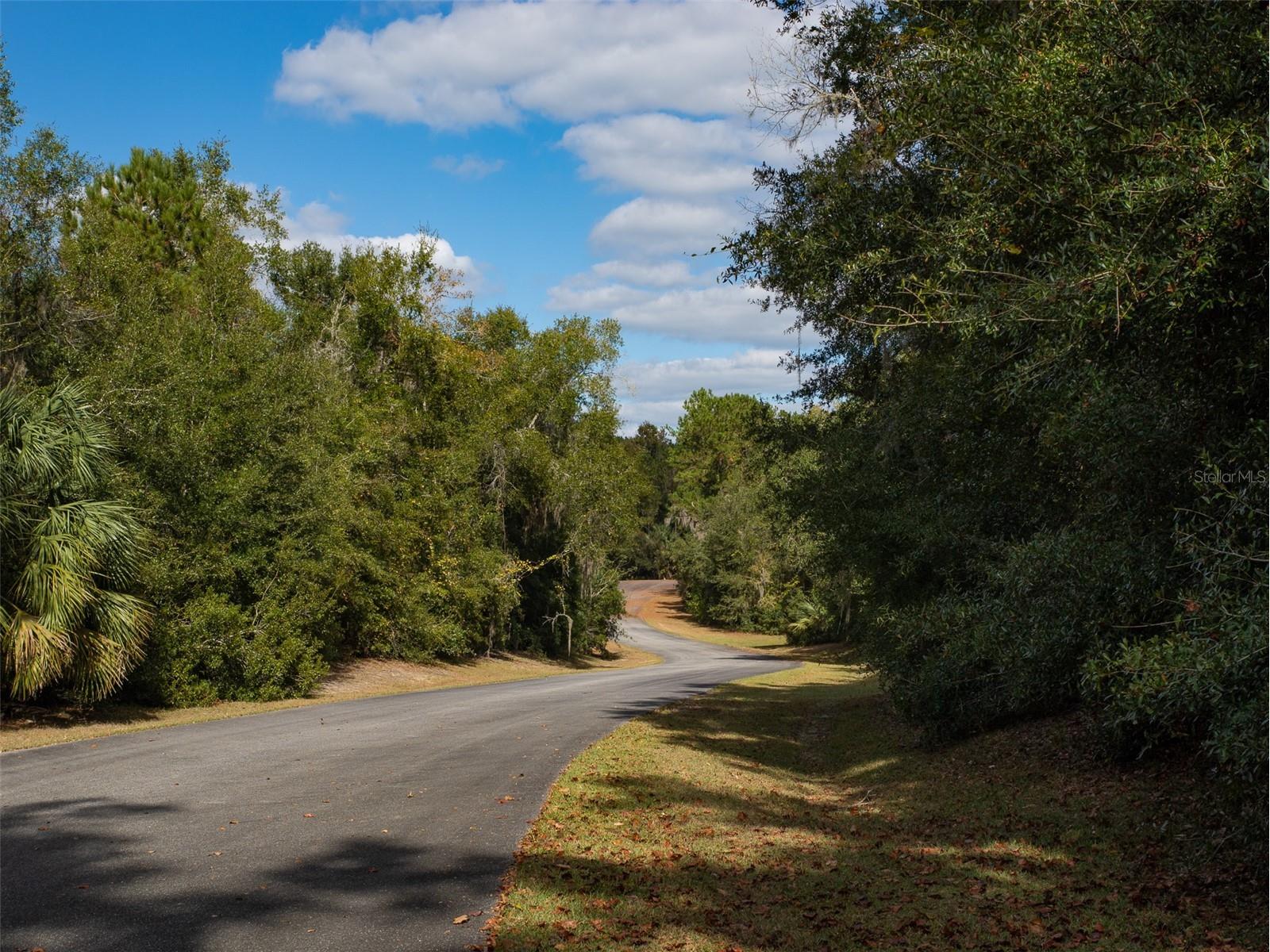 TBD NW 72nd Ct Ocala FL 34482 OM689825 image3