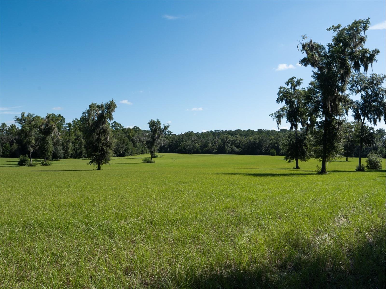 TBD NW 72nd Ct Ocala FL 34482 OM689825 image4