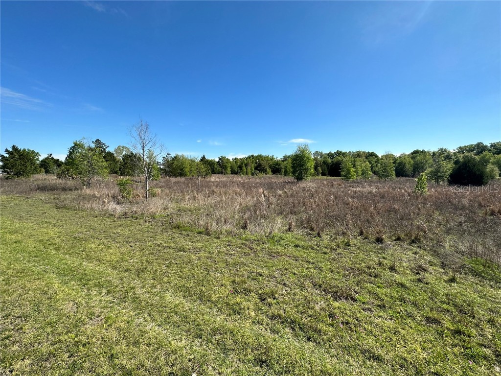 TBD NW 76th Avenue Chiefland FL 32626 GC511183 image1