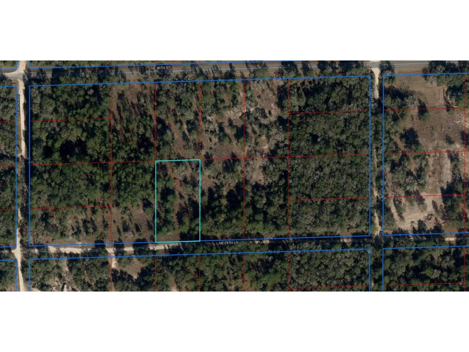 TBD NW 78th Lane Bronson FL 32621 T3413786 image1