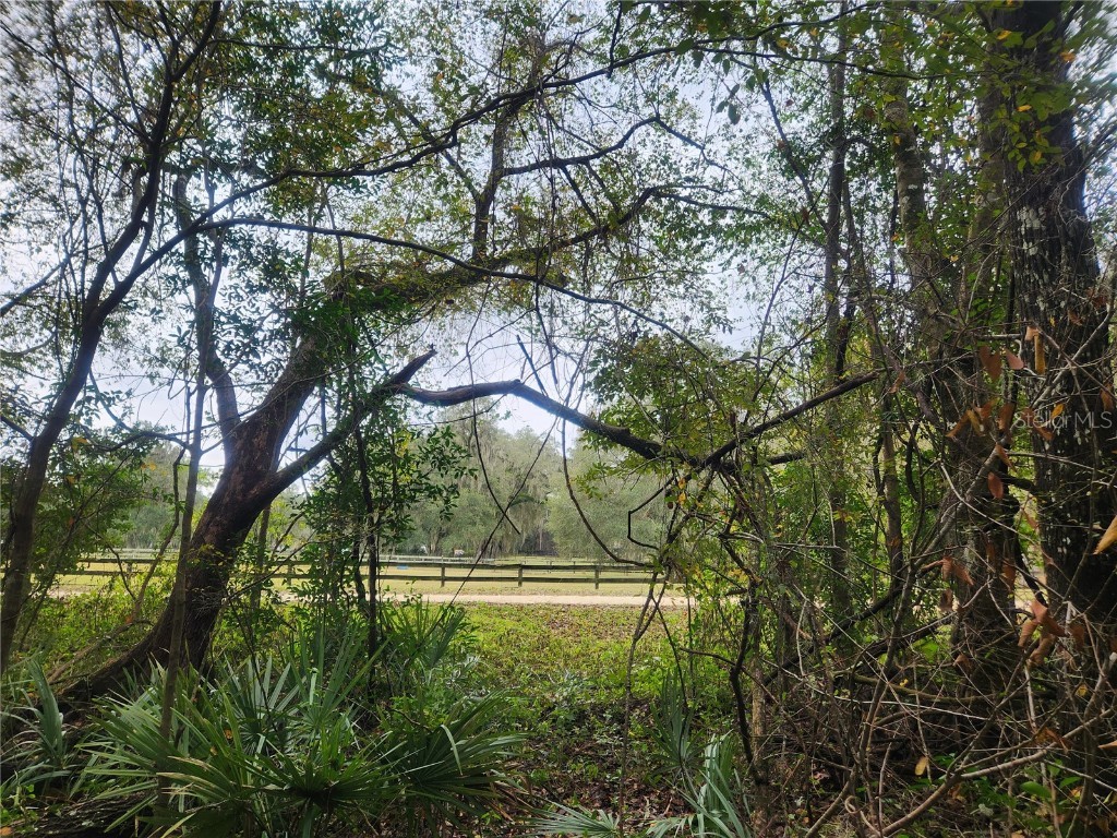 TBD NW 7th Place Ocala FL 34482 OM668316 image1