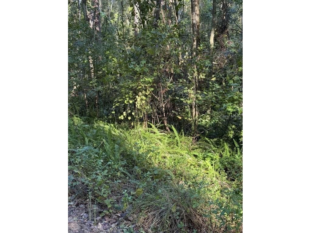 TBD NW 7th Street Ocala FL 34482 OM690309 image1