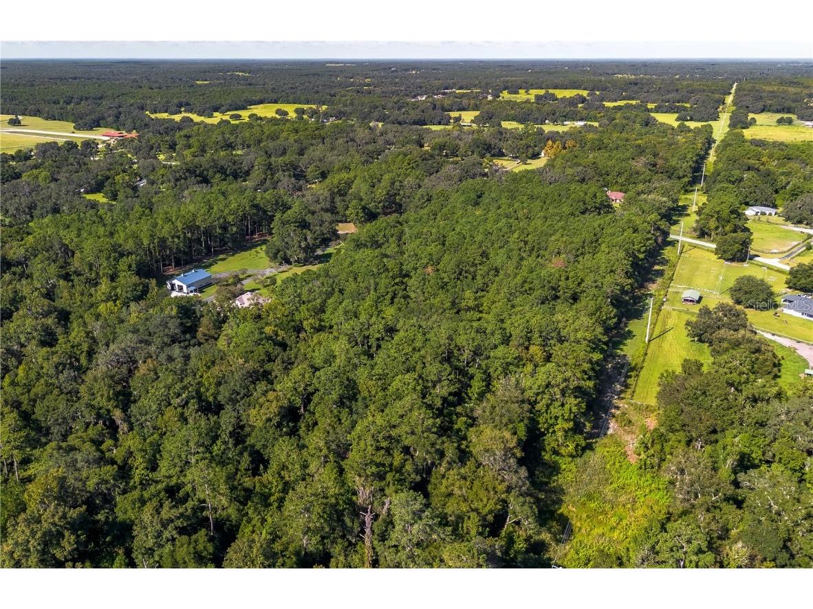 TBD NW 88th Avenue Rd Reddick FL 32686 OM709028 image10
