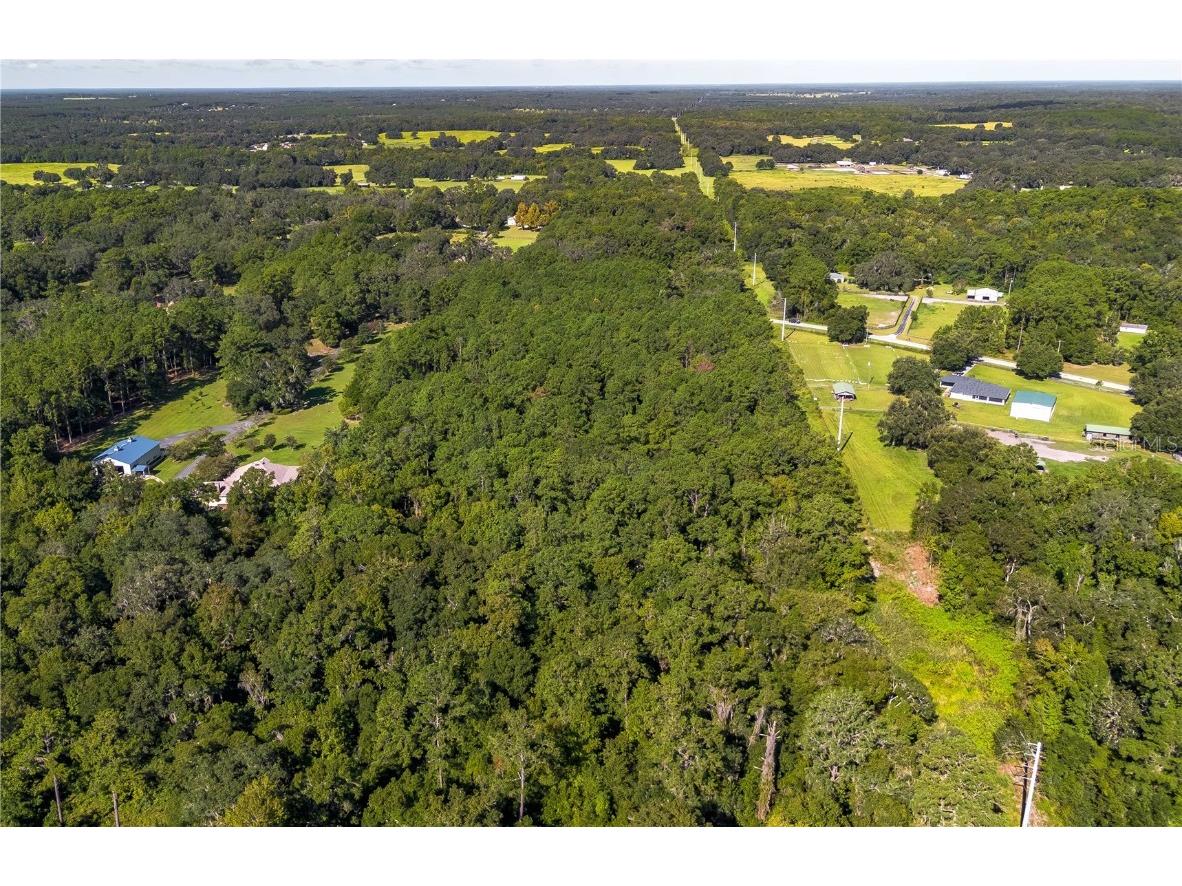TBD NW 88th Avenue Rd Reddick FL 32686 OM709028 image11