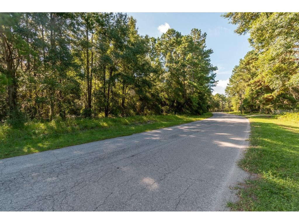 TBD NW 88th Avenue Rd Reddick FL 32686 OM709028 image6