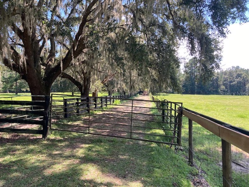 TBD NW 90 Avenue Reddick FL 32686 OM670898 image1