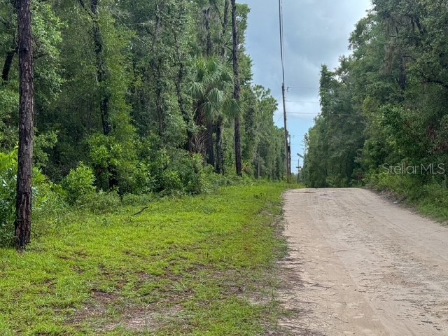 TBD NW 97 Court Chiefland FL 32626 OM704924 image1