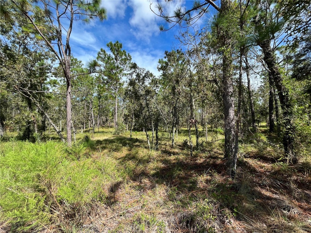 TBD NW Amberjack Avenue Dunnellon FL 34431 OK221804 image1