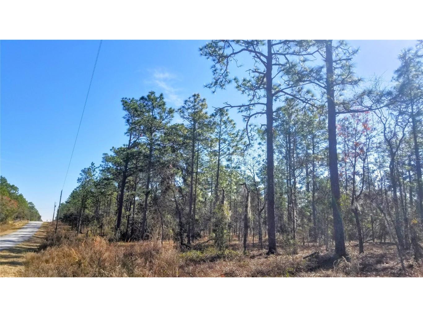 TBD NW Amberjack Avenue Dunnellon FL 34431 OM694001 image1