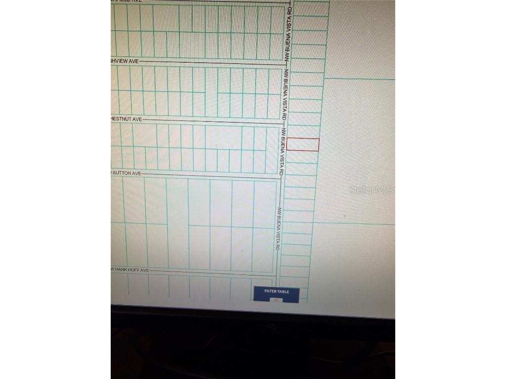 TBD NW Buena Vista Road Dunnellon FL 34431 O6357098 image2