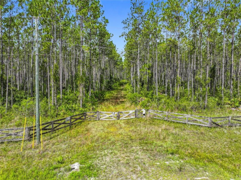 TBD NW Cr 336 Chiefland FL 32626 TB8398048 image1