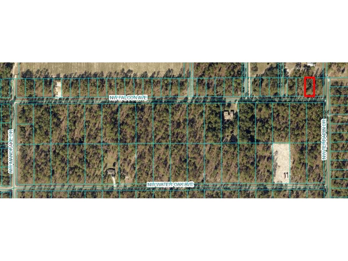 TBD NW Falcon Ave Lot 33 Dunnellon FL 34431 OM705330 image1
