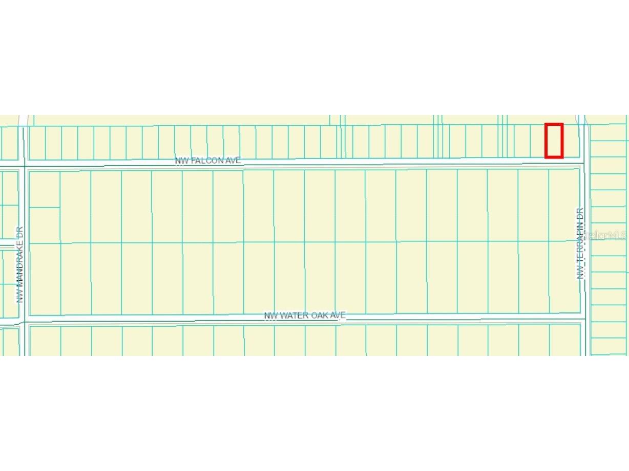 TBD NW Falcon Ave Lot 33 Dunnellon FL 34431 OM705330 image2