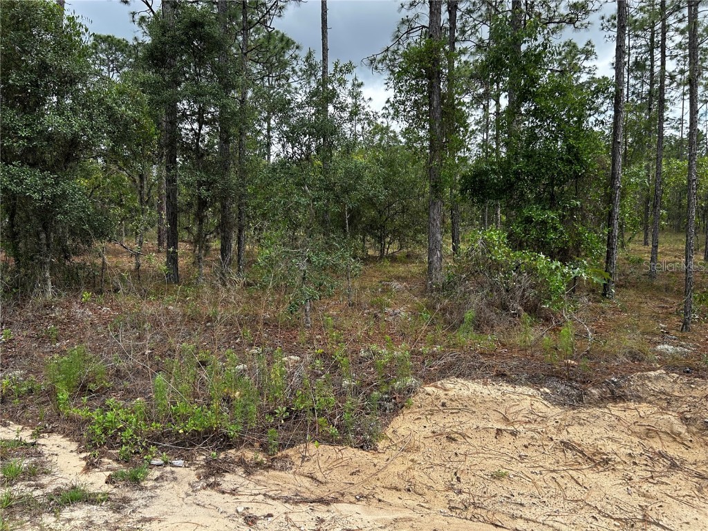 TBD NW Foxglove Lane Dunnellon FL 34431 OM701394 image2