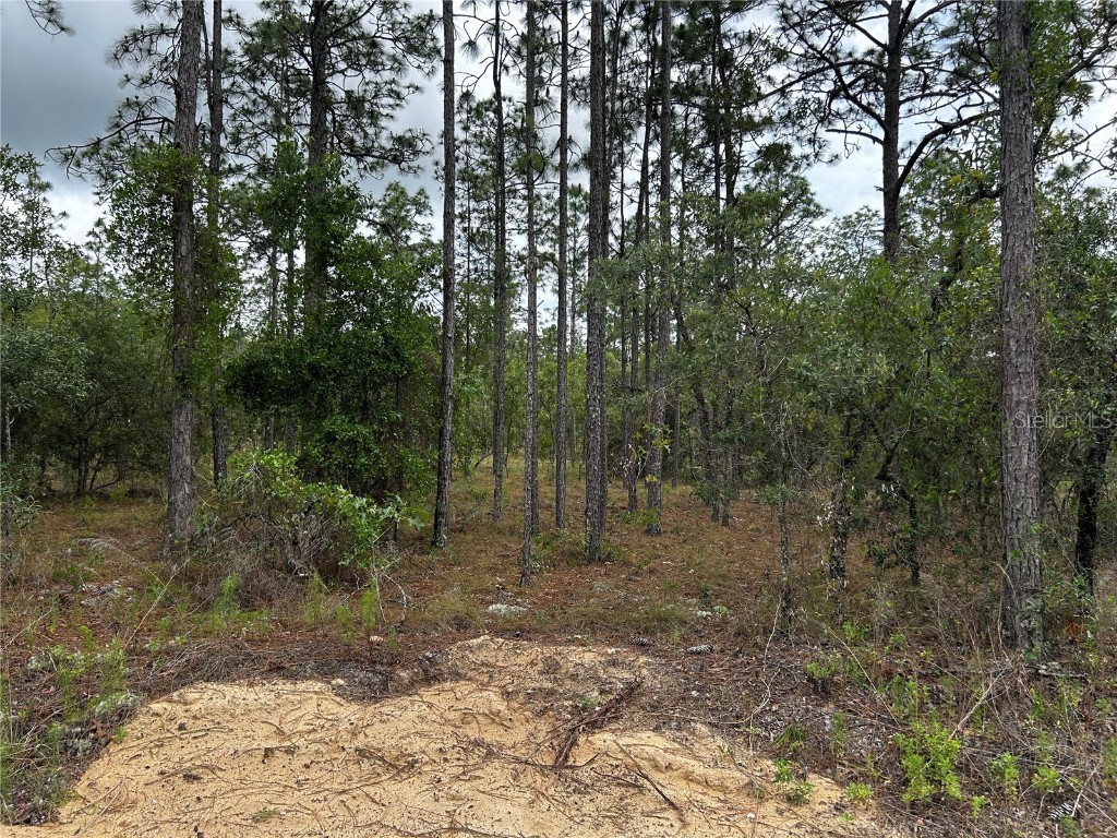 TBD NW Foxglove Lane Dunnellon FL 34431 OM701394 image3