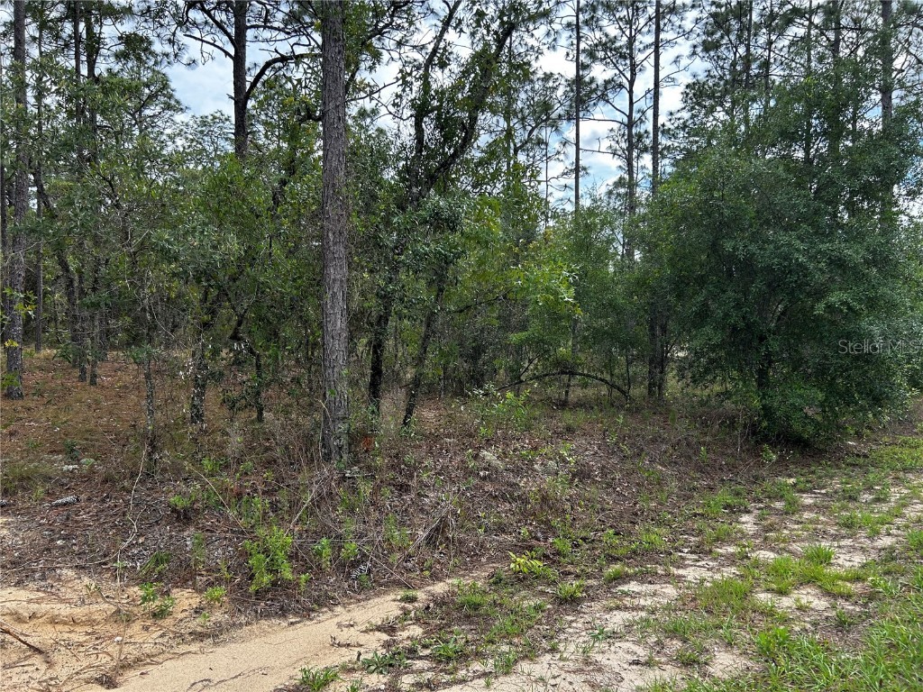 TBD NW Foxglove Lane Dunnellon FL 34431 OM701394 image4