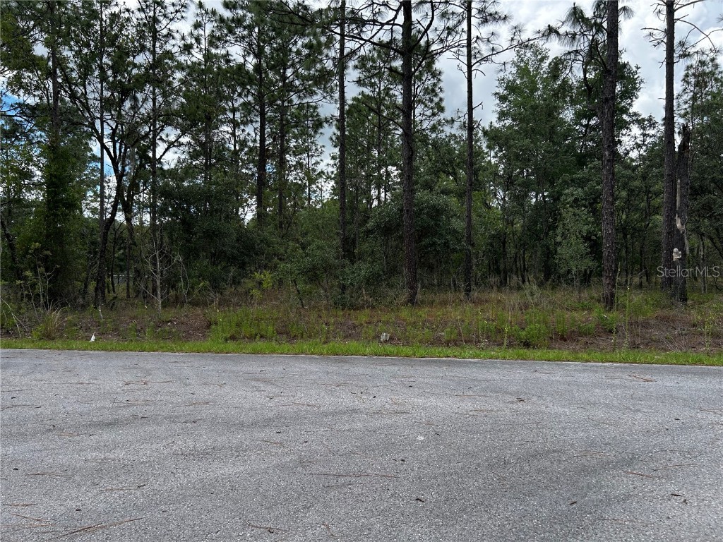 TBD NW Foxglove Lane Dunnellon FL 34431 OM701394 image6