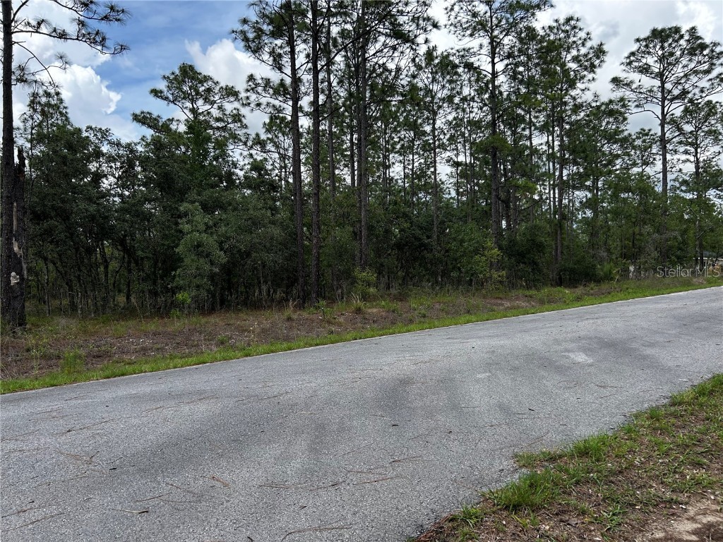 TBD NW Foxglove Lane Dunnellon FL 34431 OM701394 image7