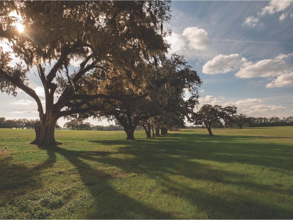 TBD NW Gainesville Road Reddick FL 32686 OM723151 image1