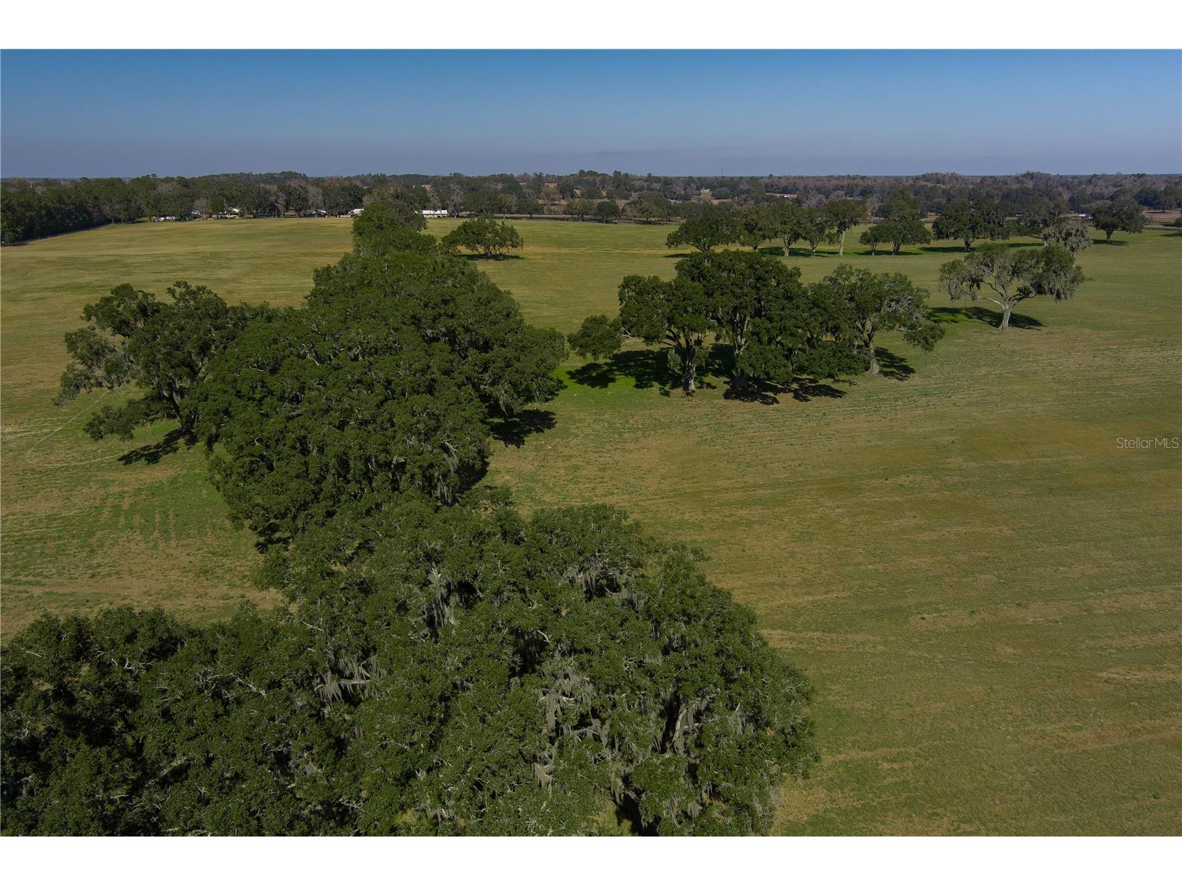 TBD NW Gainesville Road Reddick FL 32686 OM723151 image4