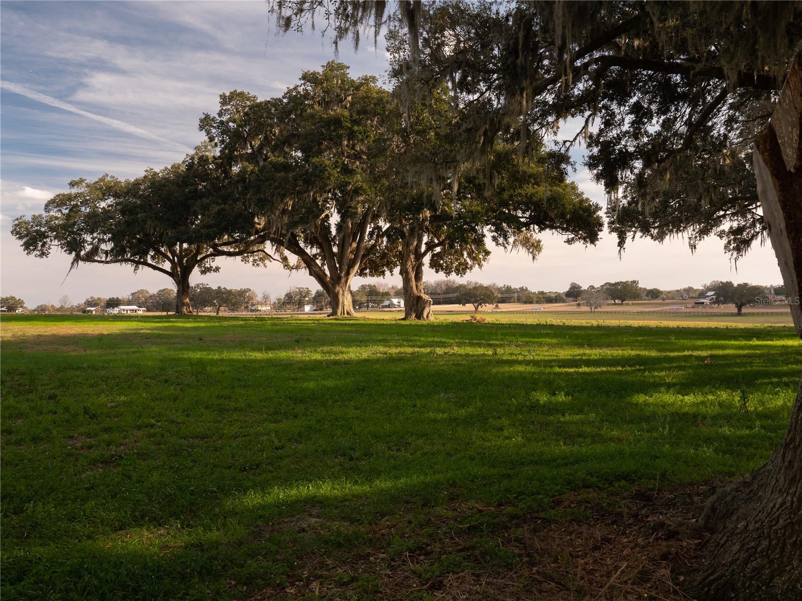 TBD NW Gainesville Road Reddick FL 32686 OM723151 image5