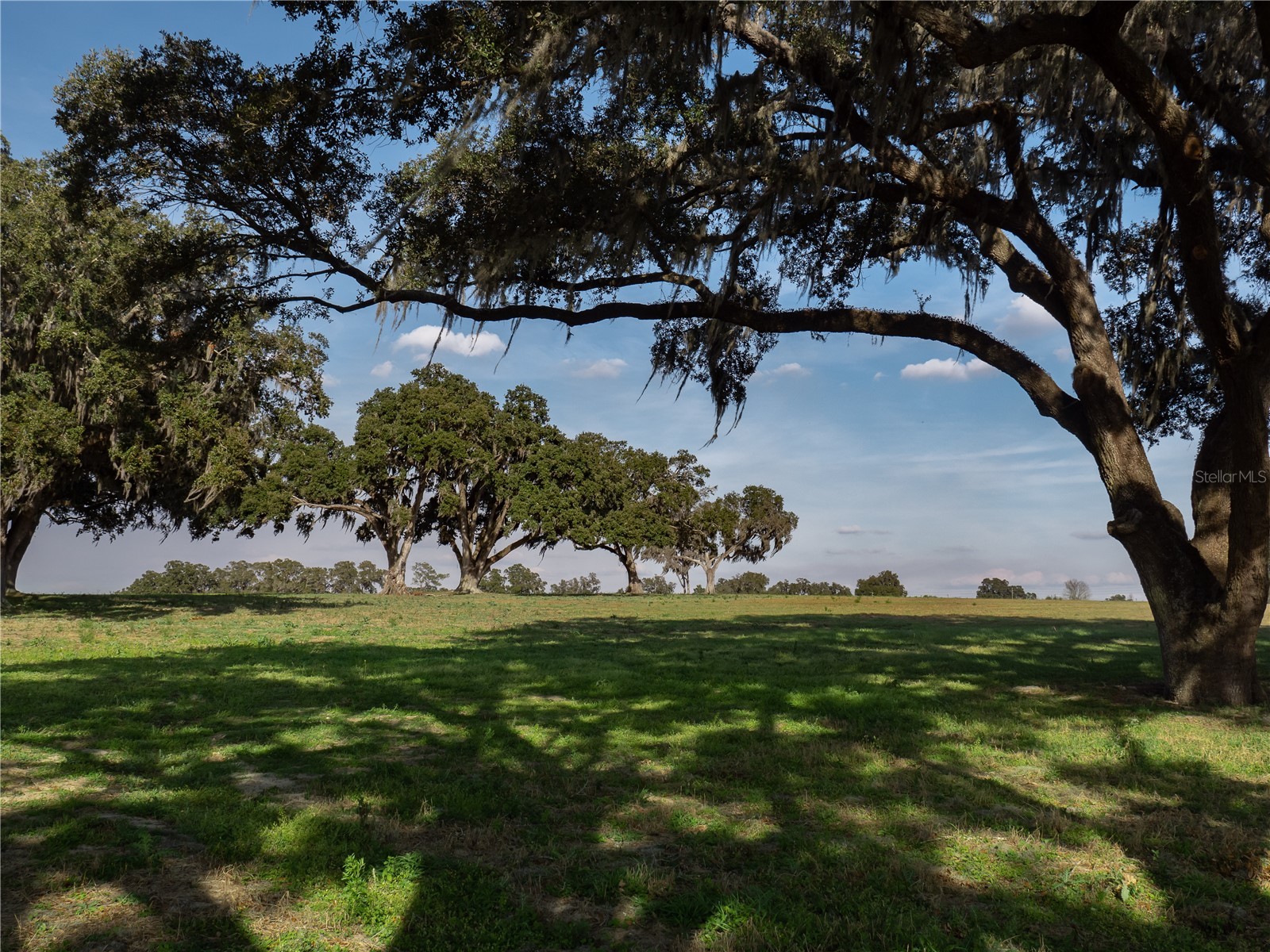 TBD NW Gainesville Road Reddick FL 32686 OM723151 image6