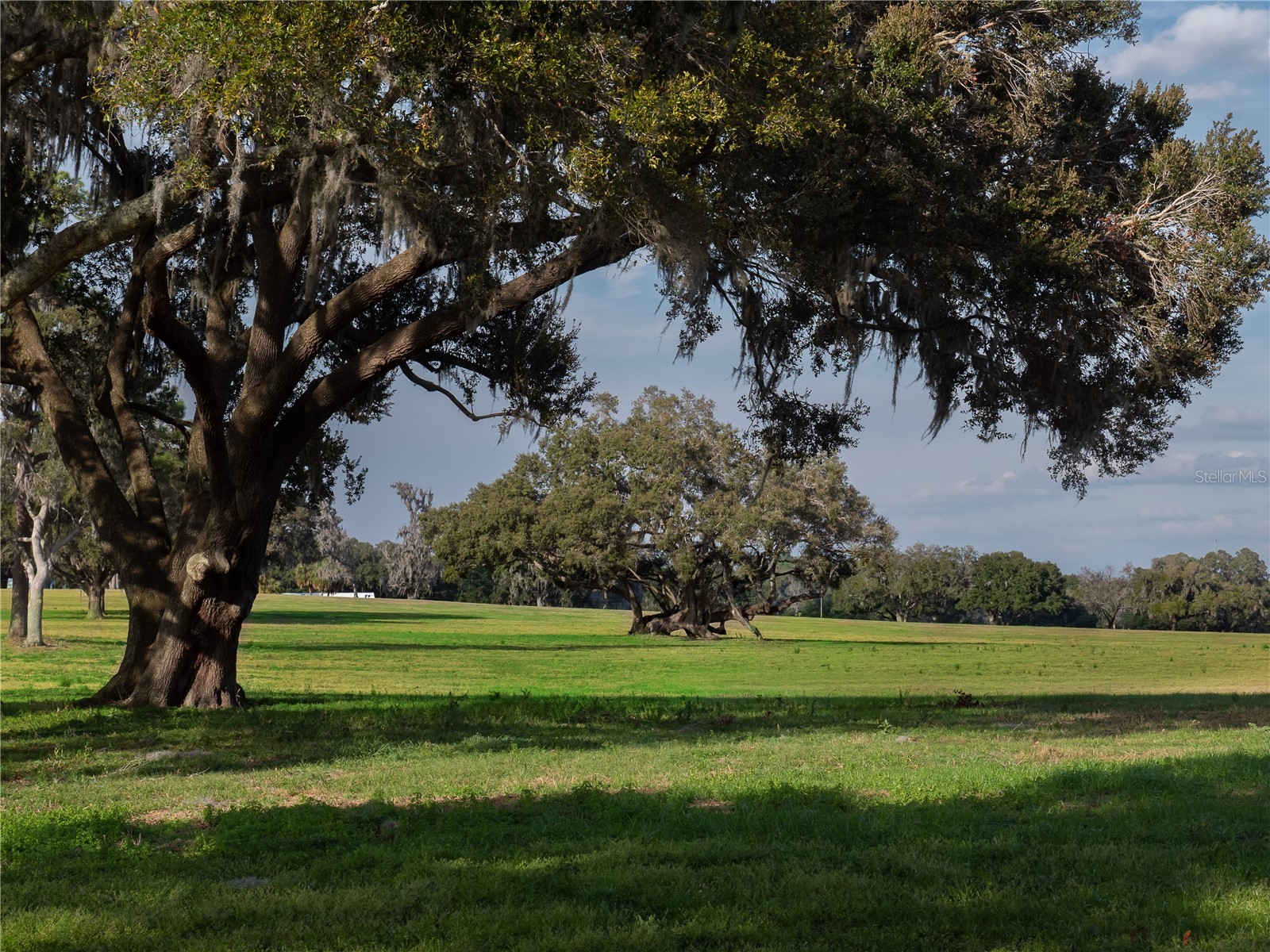 TBD NW Gainesville Road Reddick FL 32686 OM723151 image8
