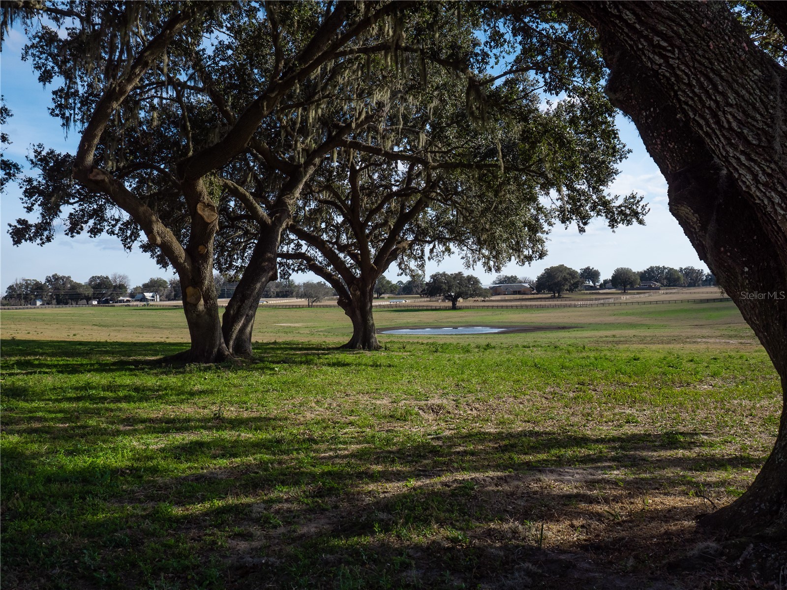 TBD NW Gainesville Road Reddick FL 32686 OM723151 image9