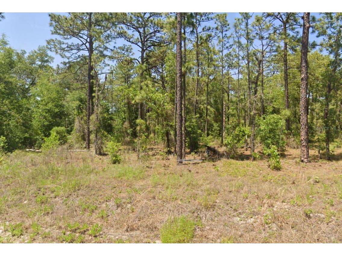 TBD NW Hemlock Avenue Dunnellon FL 34431 OM713894 image1