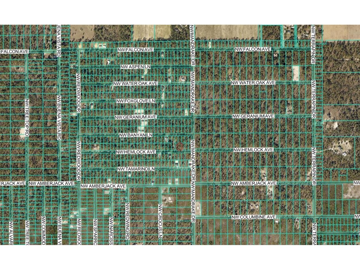 TBD NW Hemlock Avenue Dunnellon FL 34431 OM713894 image4