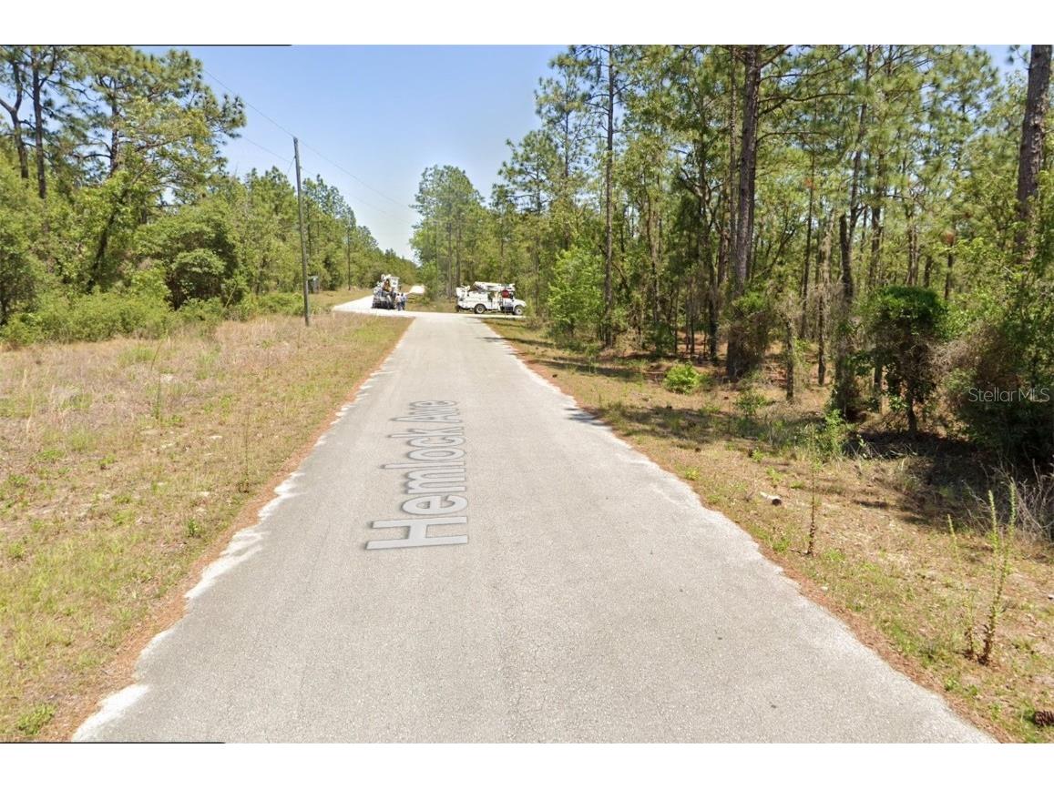 TBD NW Hemlock Avenue Dunnellon FL 34431 OM713894 image5
