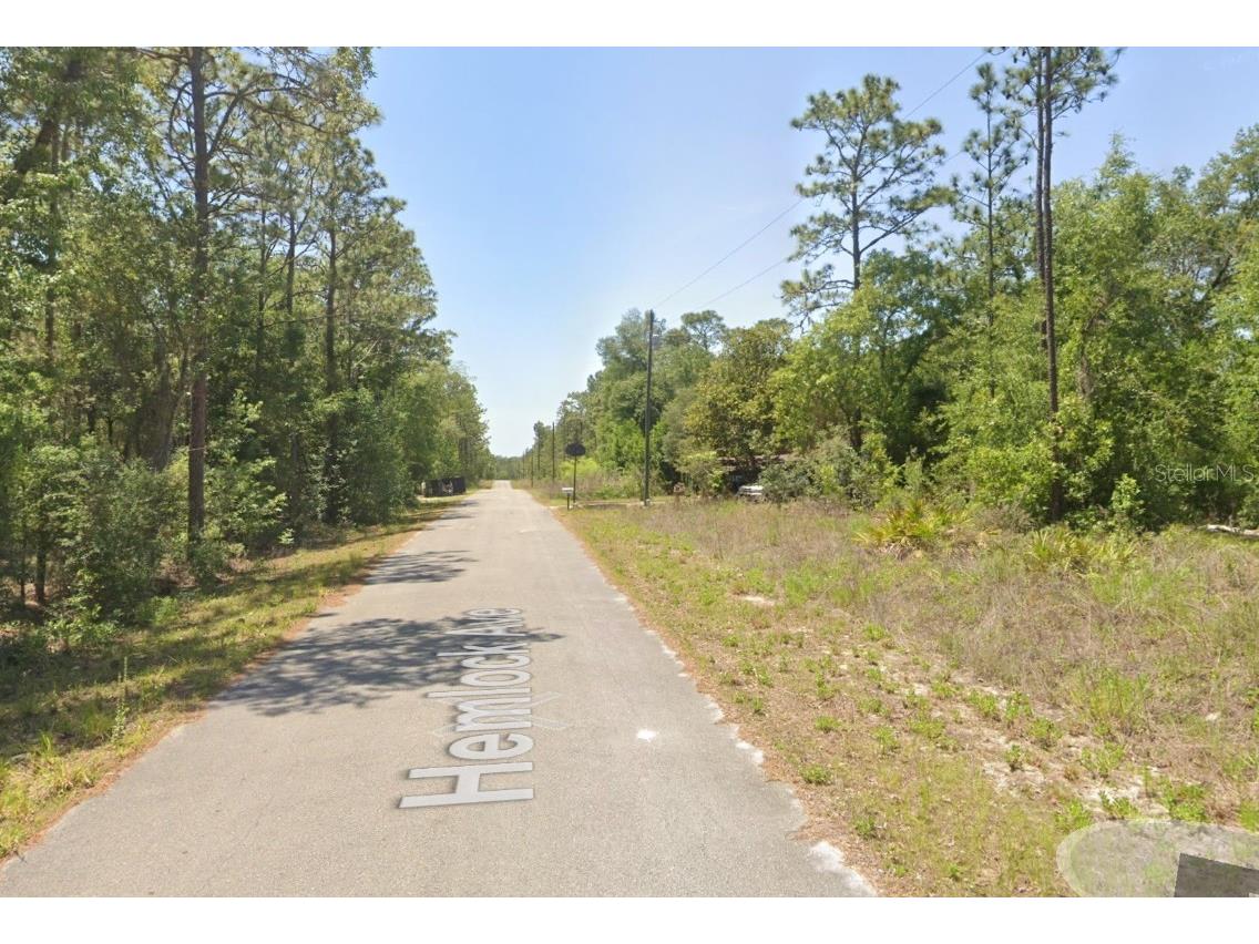 TBD NW Hemlock Avenue Dunnellon FL 34431 OM713894 image6