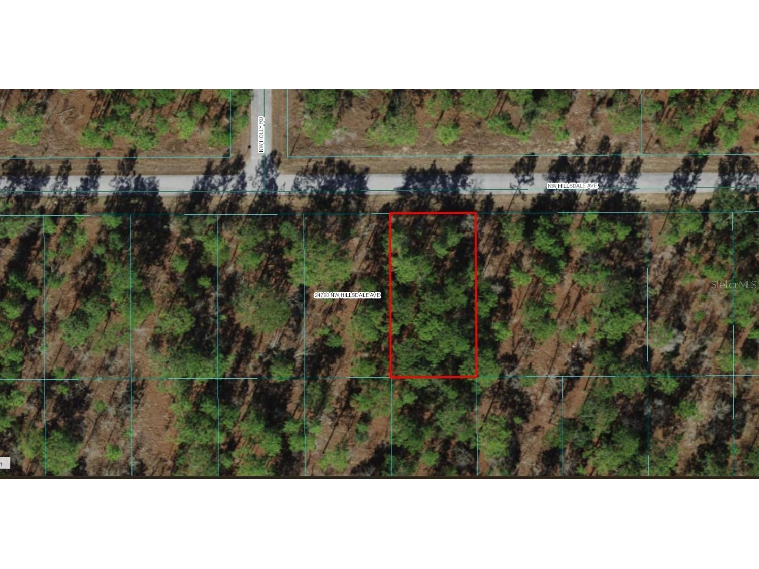 TBD NW Hillsdale Avenue Dunnellon FL 34431 OM676456 image1