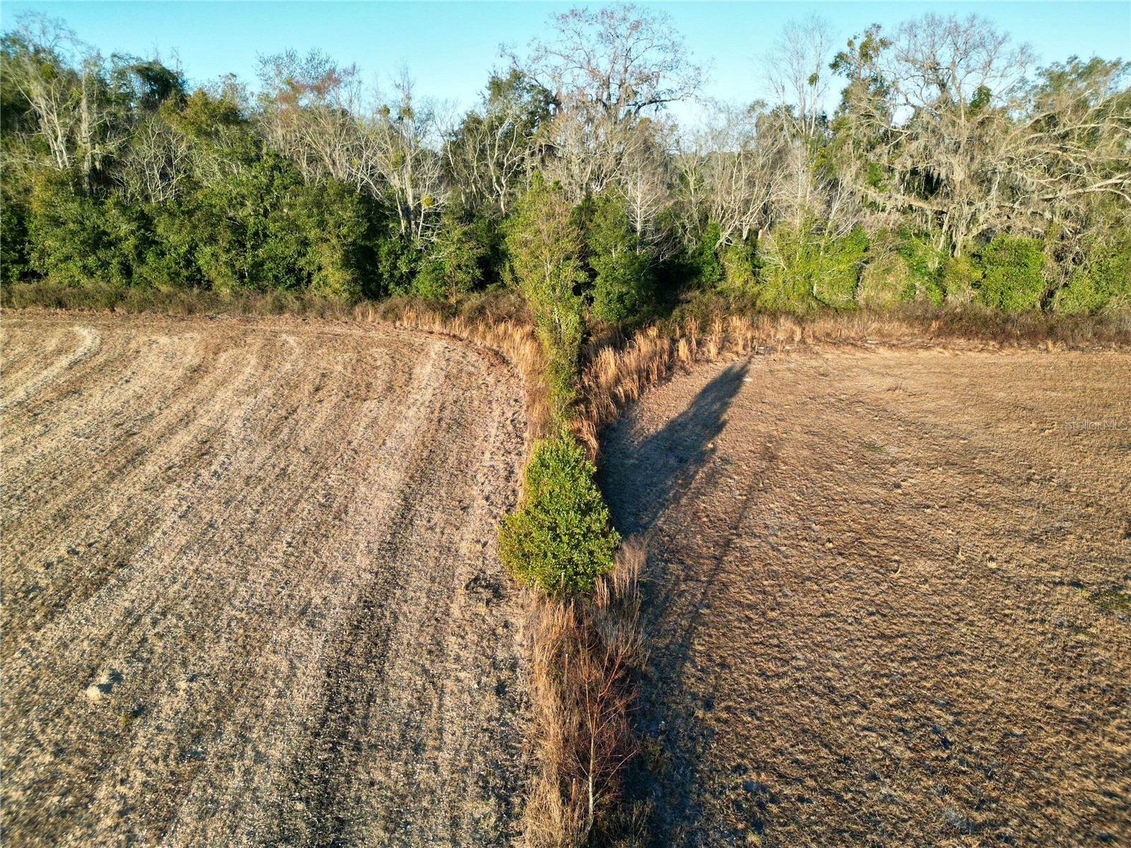 TBD NW Hwy 225a Ocala FL 34482 OM717886 image11