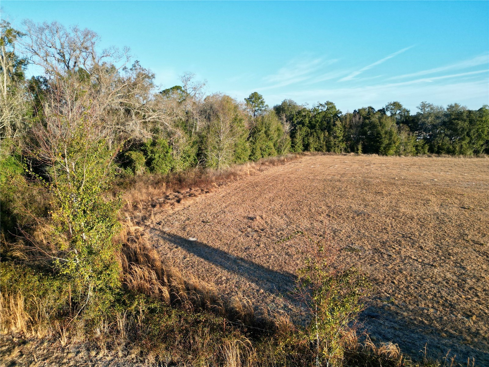 TBD NW Hwy 225a Ocala FL 34482 OM717886 image12
